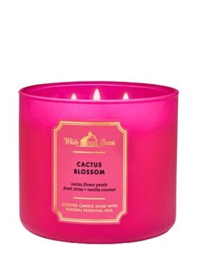 🌵 🌺 Cactus Blossom Candle